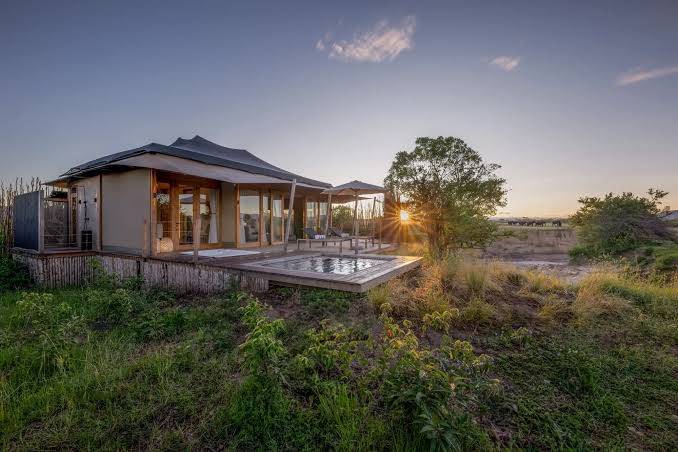Maasai Mara Bush Safari