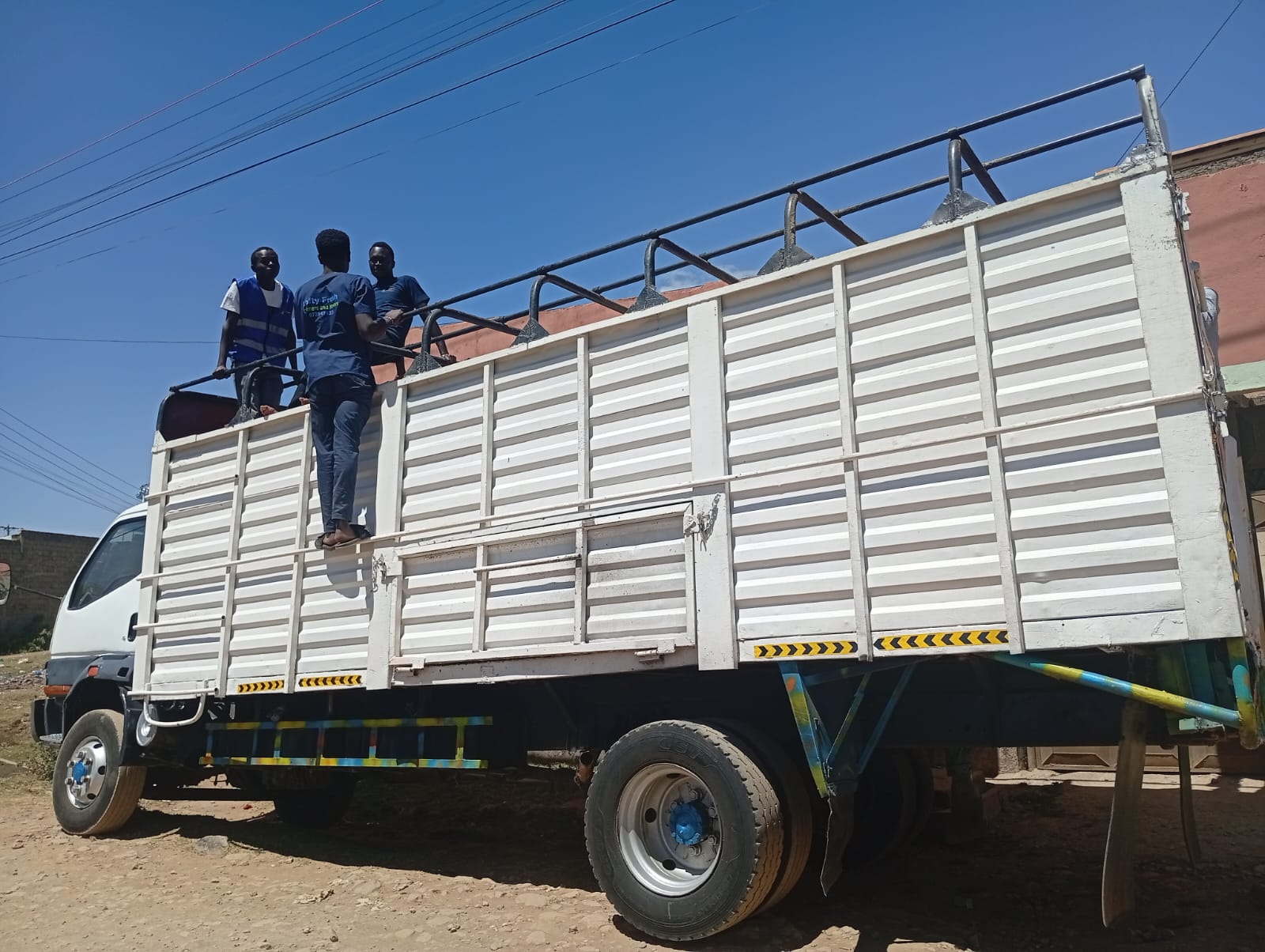 Lofty Fresh Gallery Image