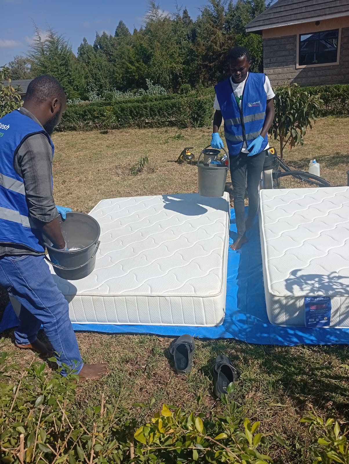 Lofty Fresh Gallery Image