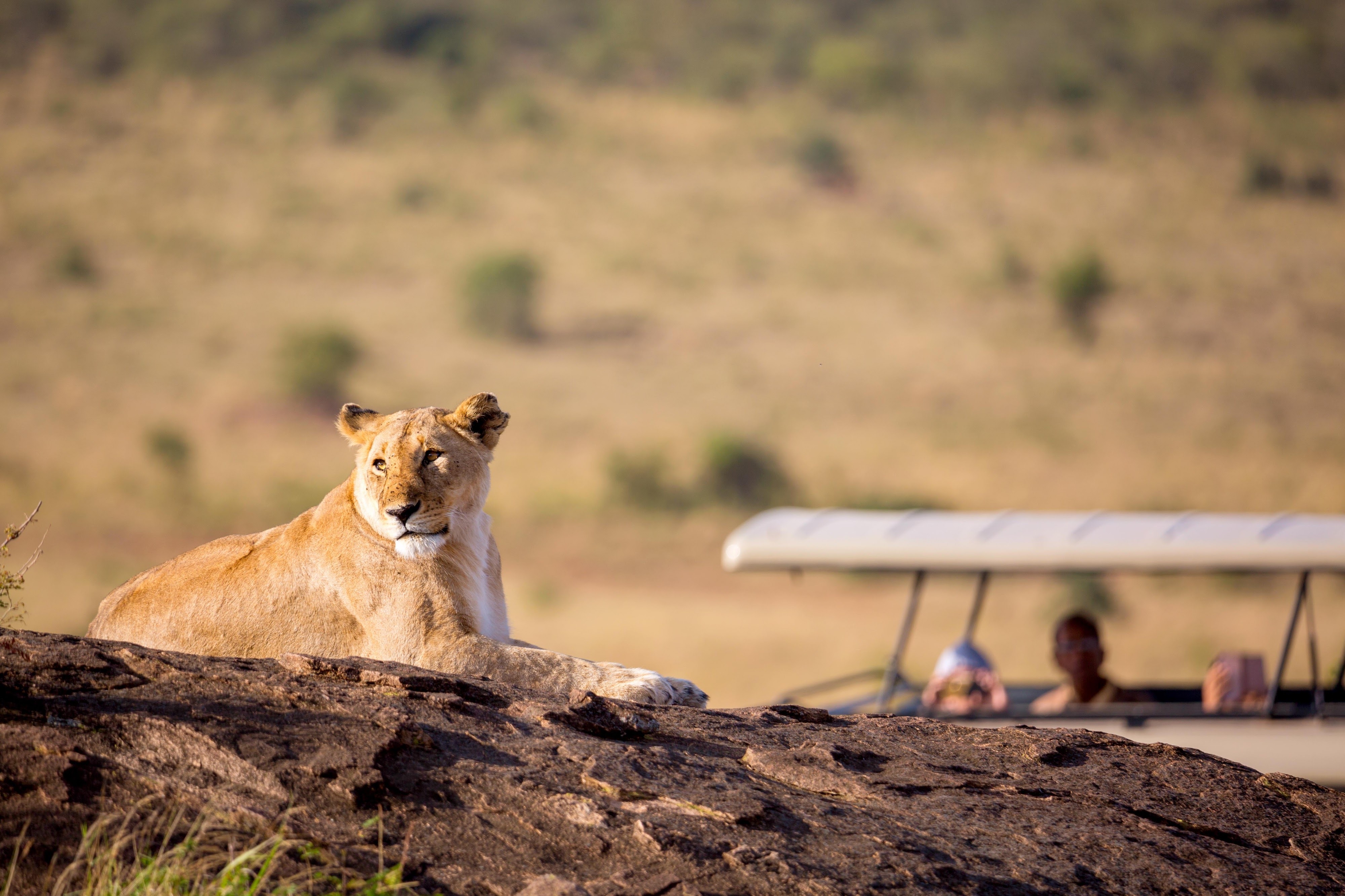 4 National Parks Safari
