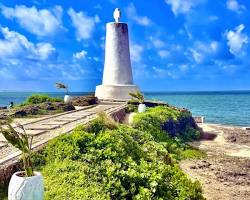 Vasco Da Gama + Falconry + Museum