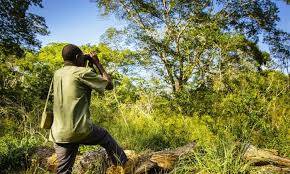 Arabuko Sokoke Forest Tour