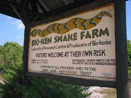 Bio-Ken Snake Farm Tour (Watamu Snake Farm)