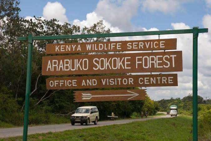 Arabuko Sokoke Forest Tour