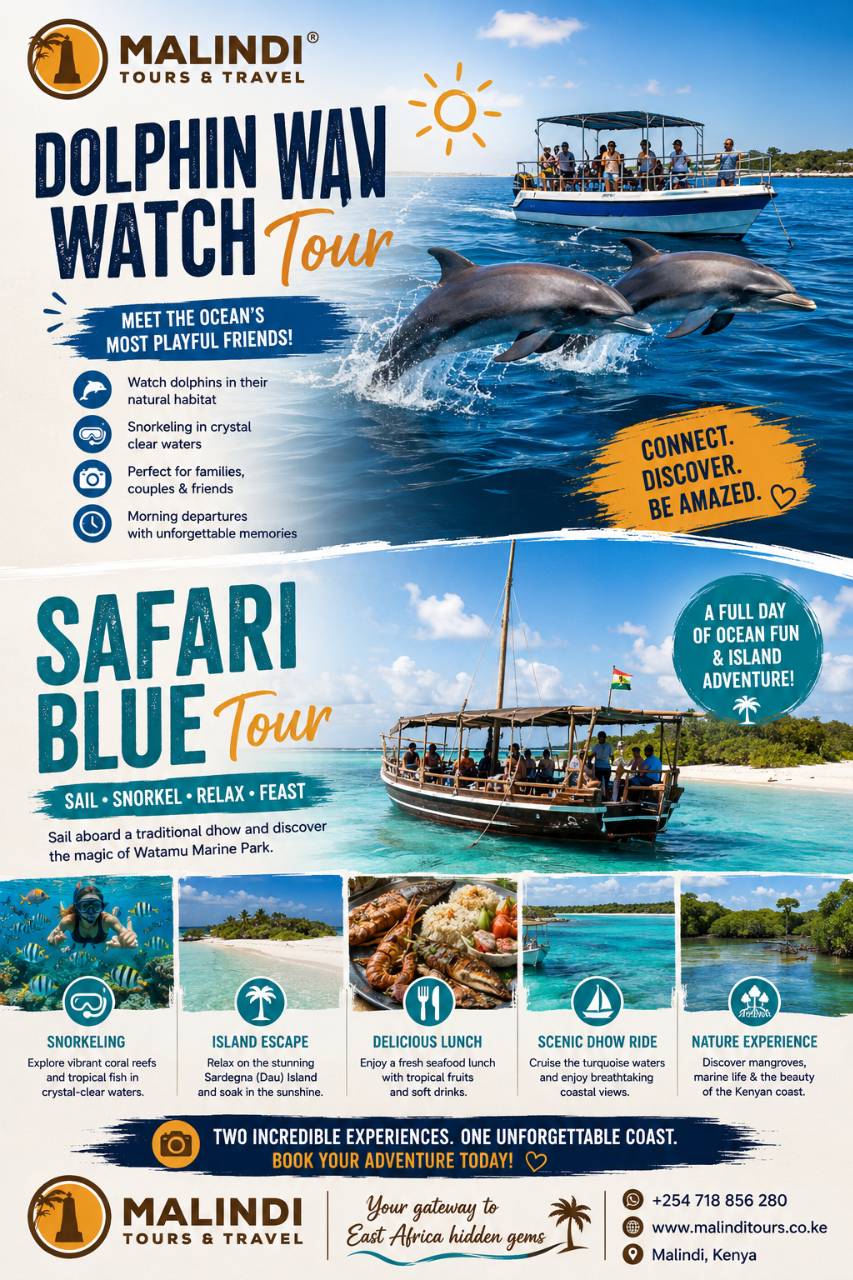 Watamu Dolphin Full Day Trip 