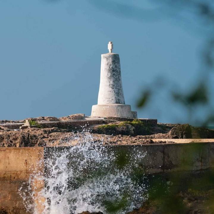 Vasco Da Gama + Falconry + Museum