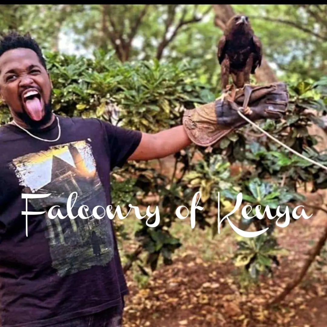 Falconry of Kenya