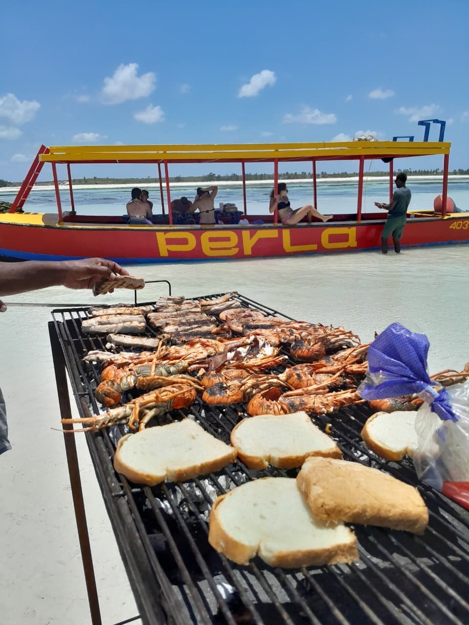 Boat Excursion & Safari Blue