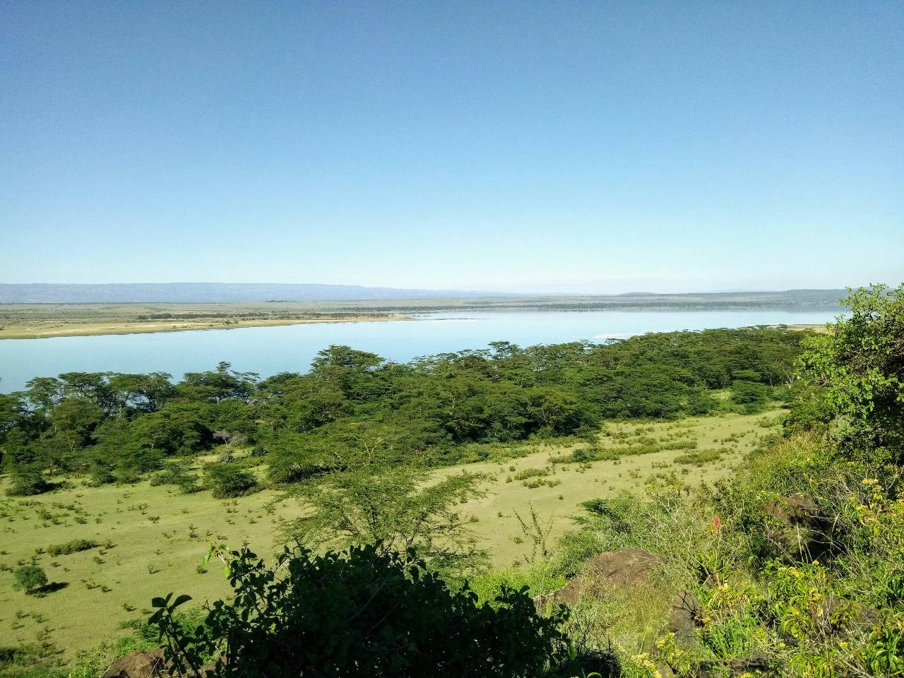 Lake Naivasha, Lake Nakuru, Lake Baringo, Lake Bogoria and Hellgate National Park Birdwatching