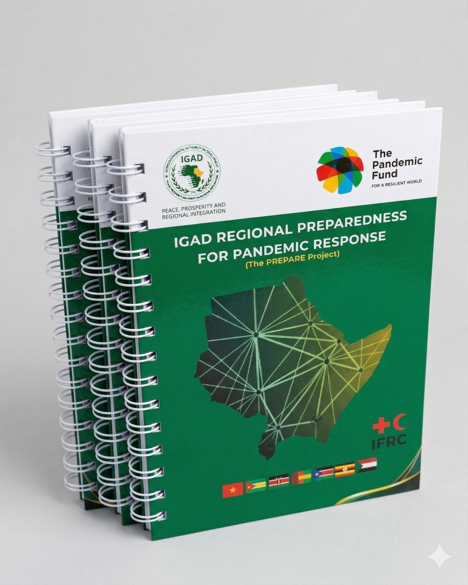 Branding and Promotional Materials