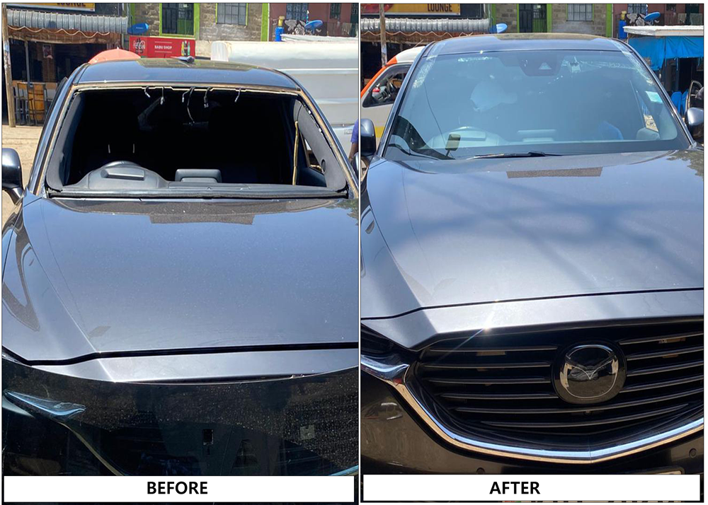 Maylyn Autoglass Portfolio