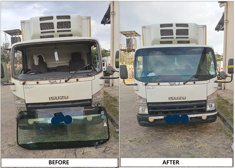 Maylyn Autoglass Portfolio