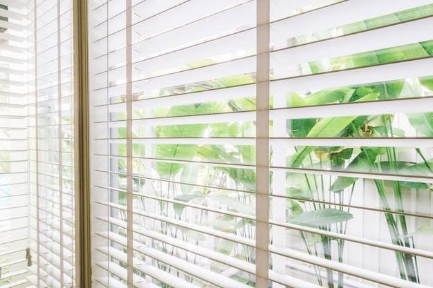 Window Blinds