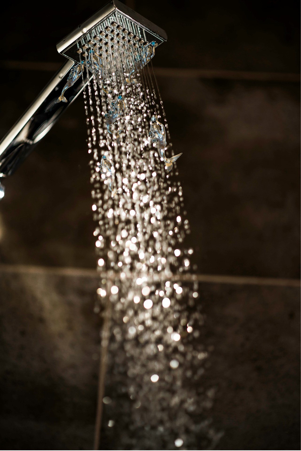 Shower Installation by Neuro Movers