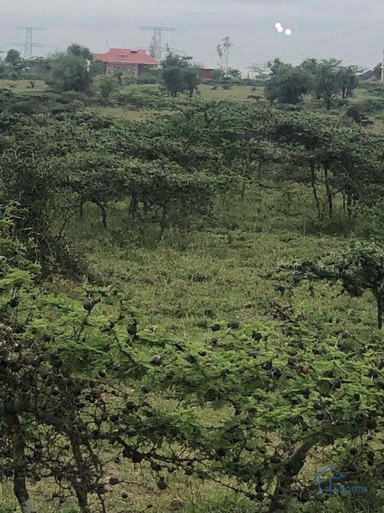 ISINYA PIPELINE LAND