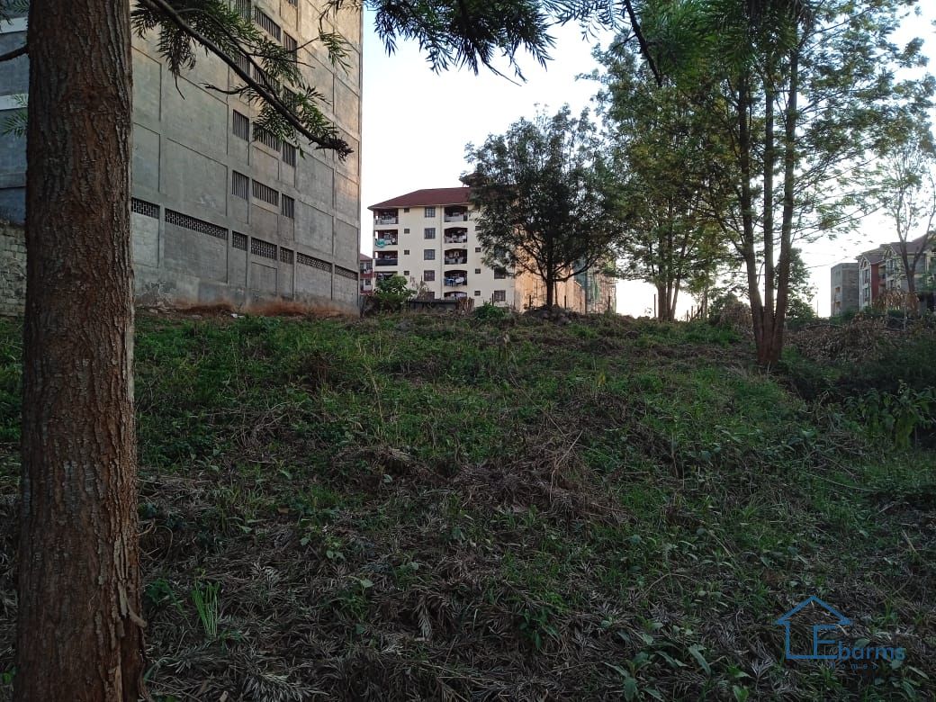 Ruaka rental property