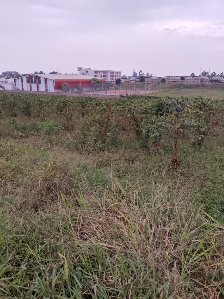10 ACRES FOR SALE AT KIAMBU ROAD
