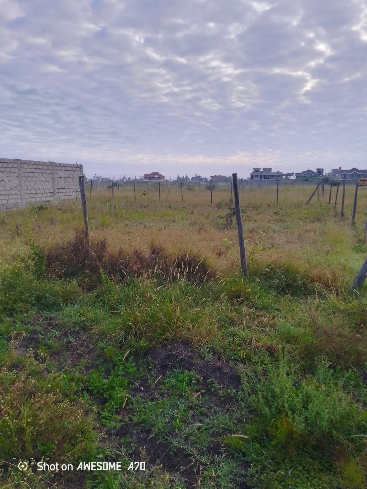 Property View 3