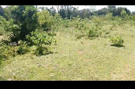 KOGONY PROPERTY