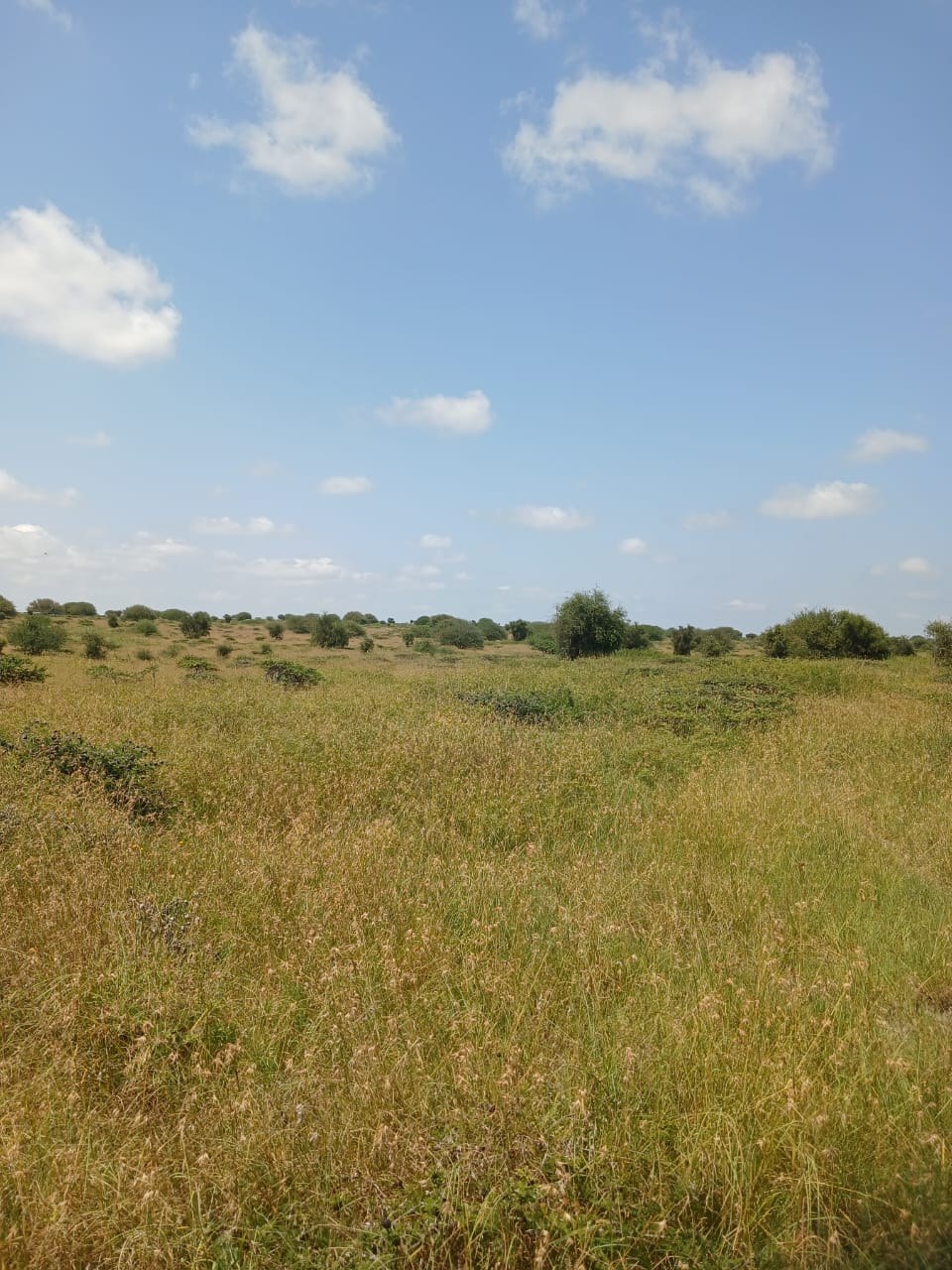 ISINYA KENTRACO LAND