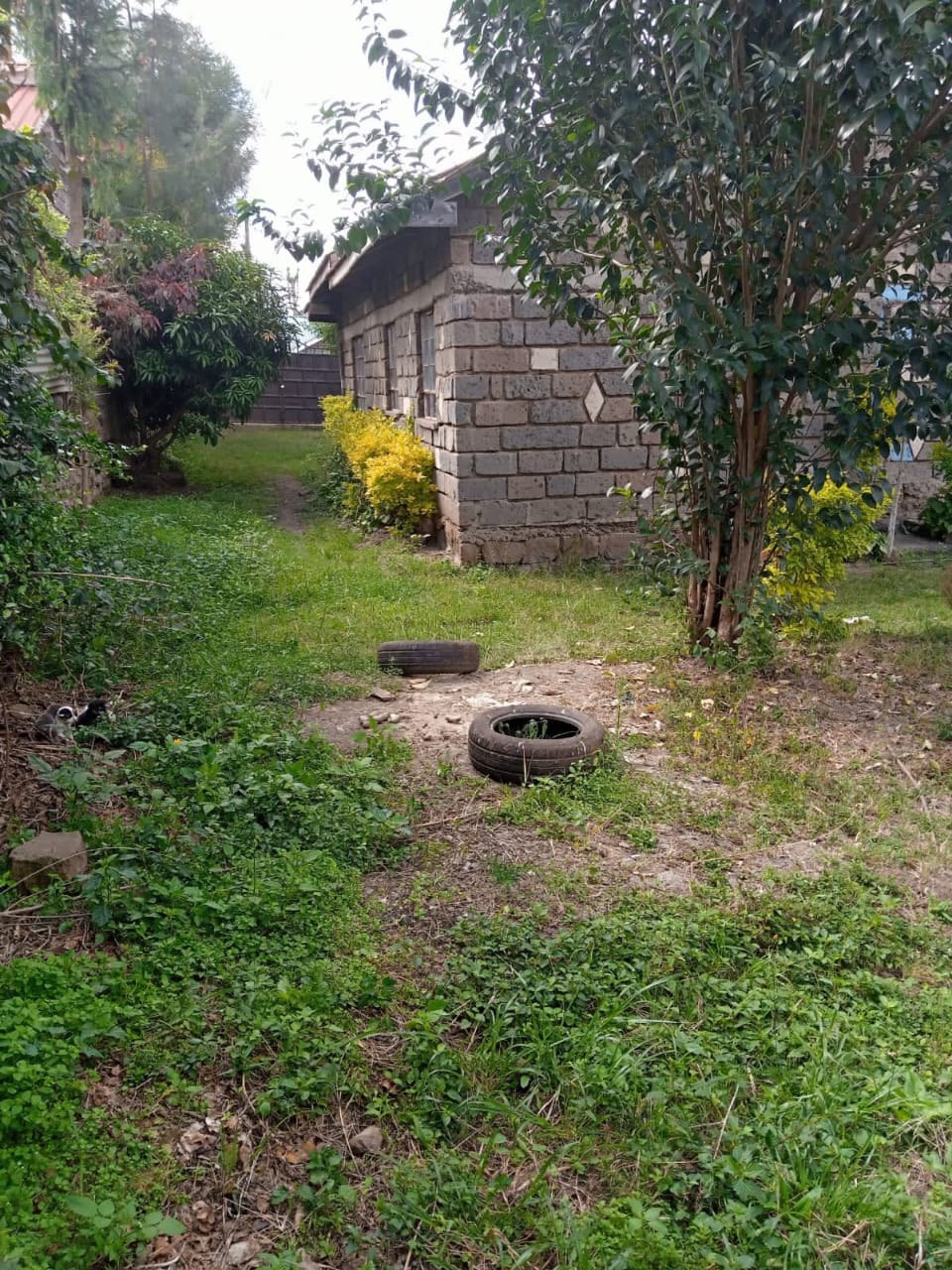 RONGAI TANZANIA COURT BUNGALOW