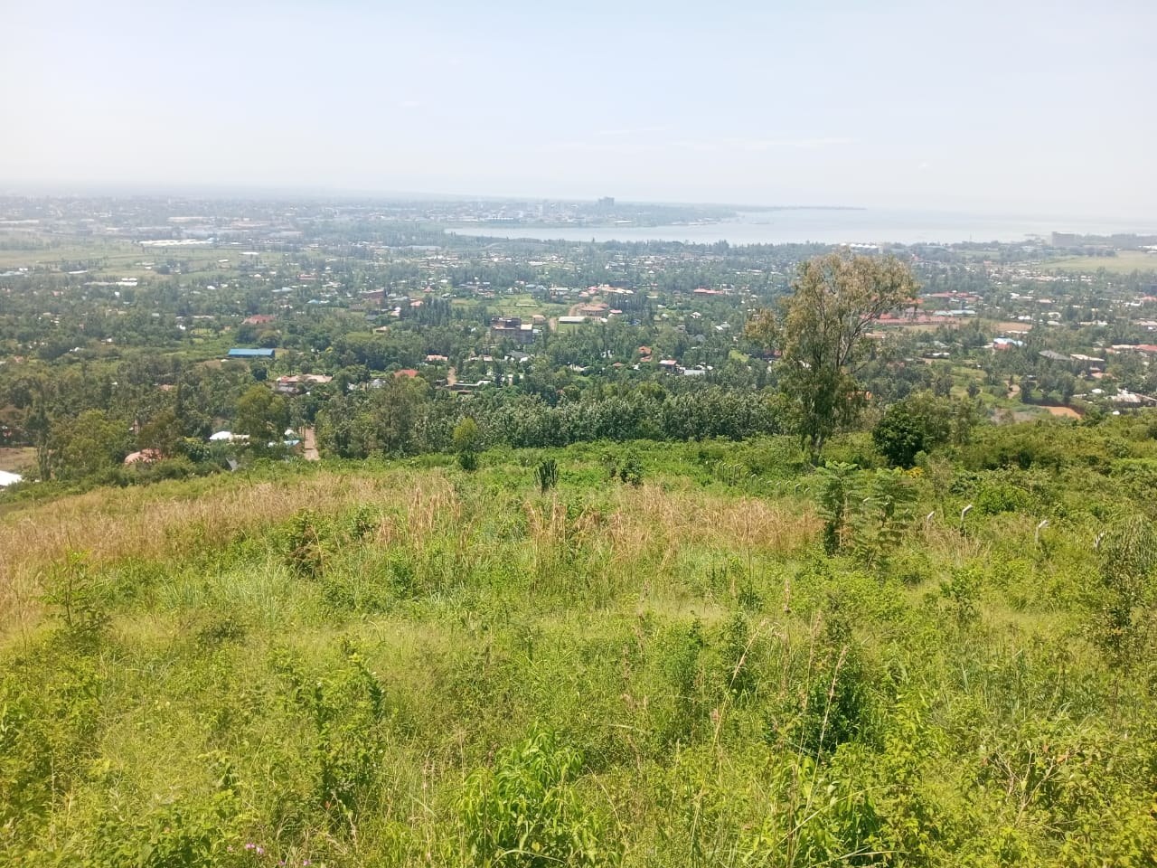Property View 4