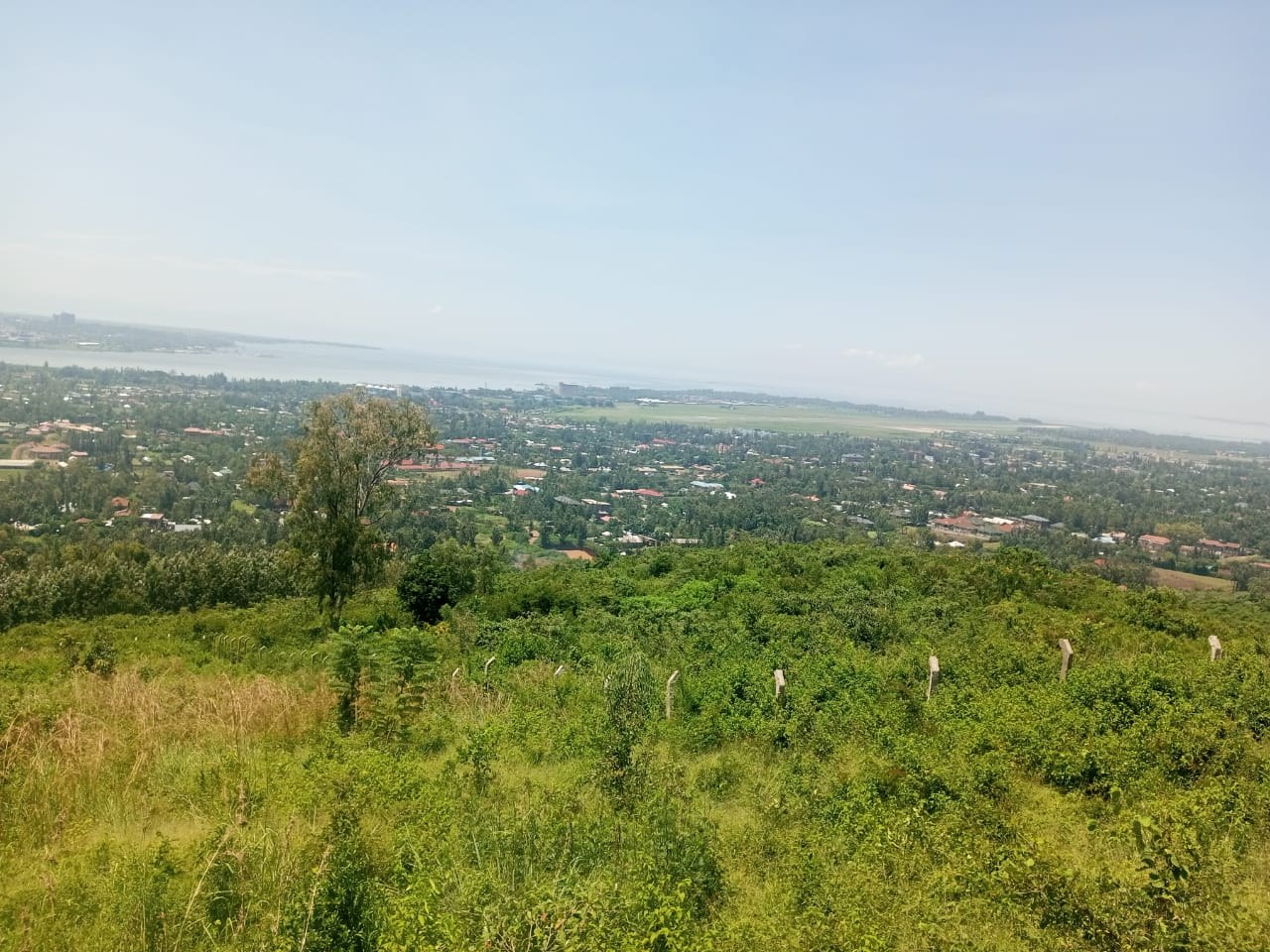 Property View 5