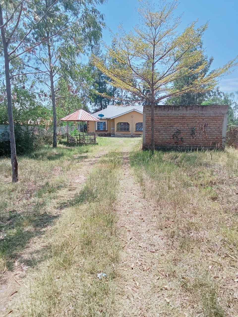 3 Bedroom Bungalow
