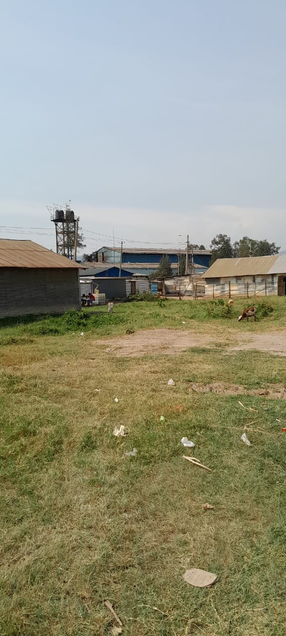 Property View 3