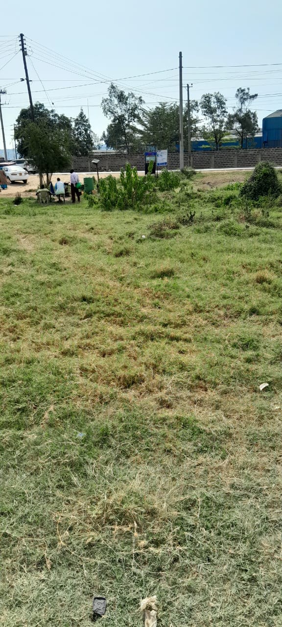 Property View 4