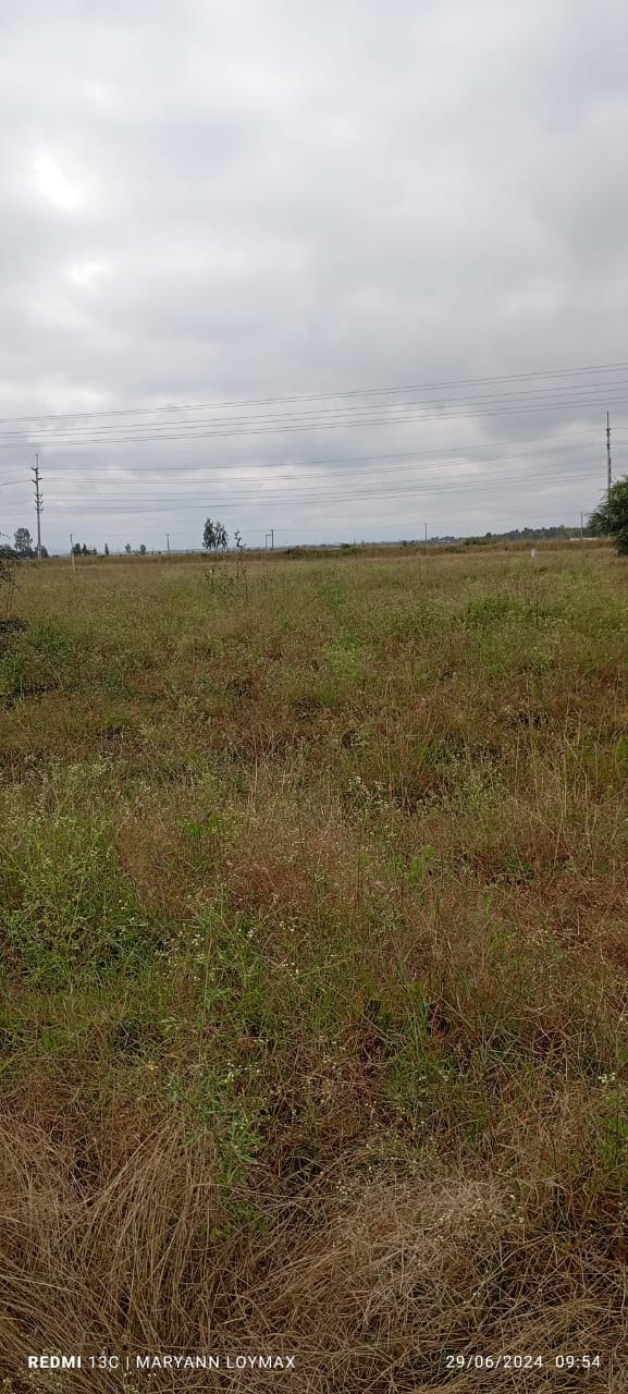 KISAJU COMMERCIAL PROPERTY