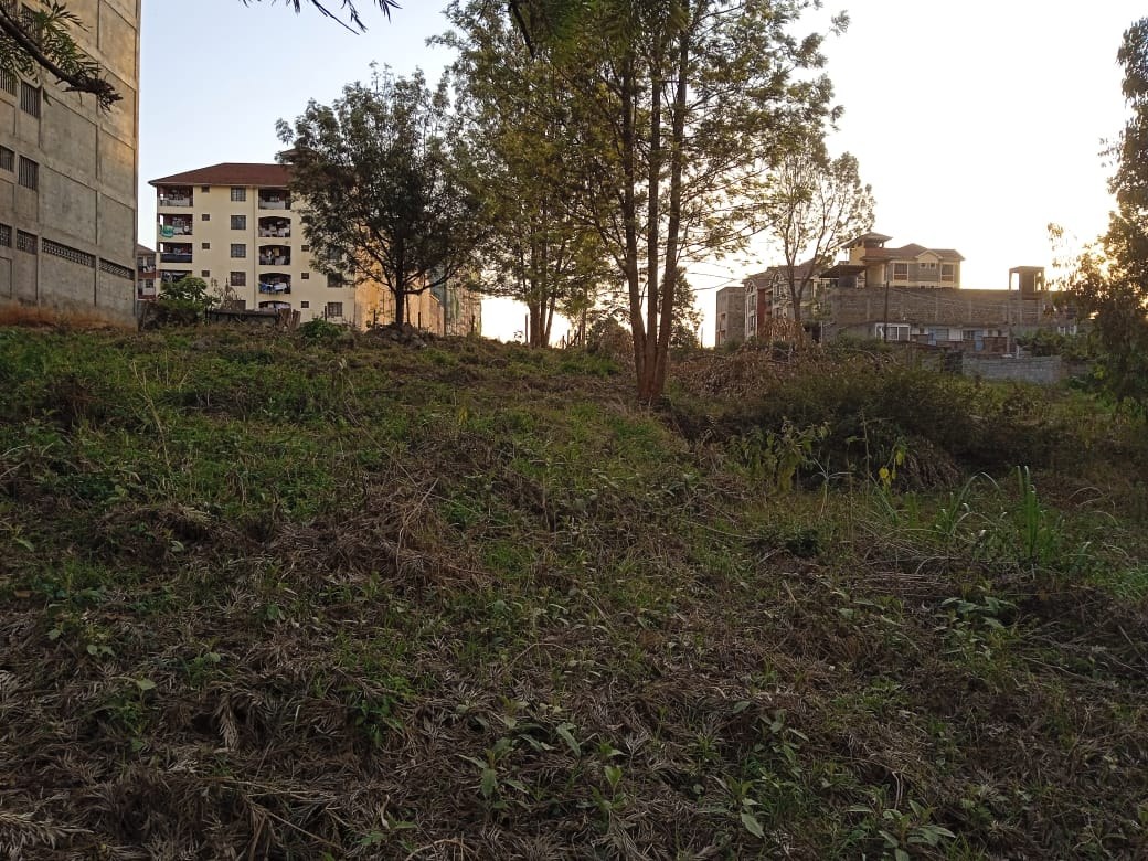 Property View 2