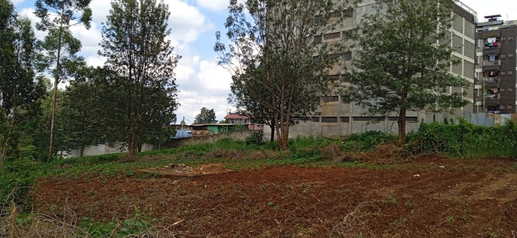 Property View 3