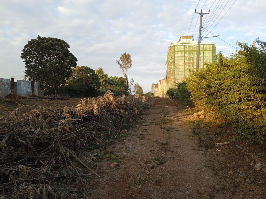 Property View 4