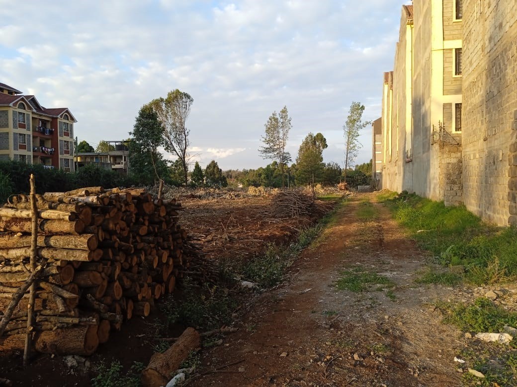 Property View 7