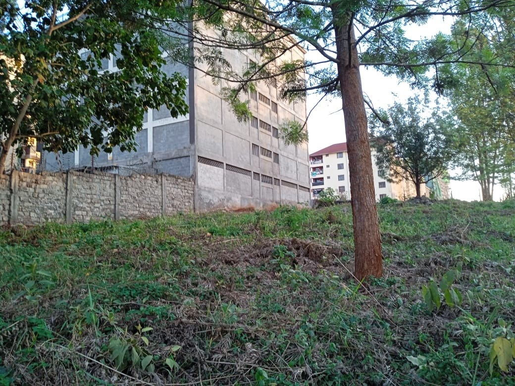 Property View 8