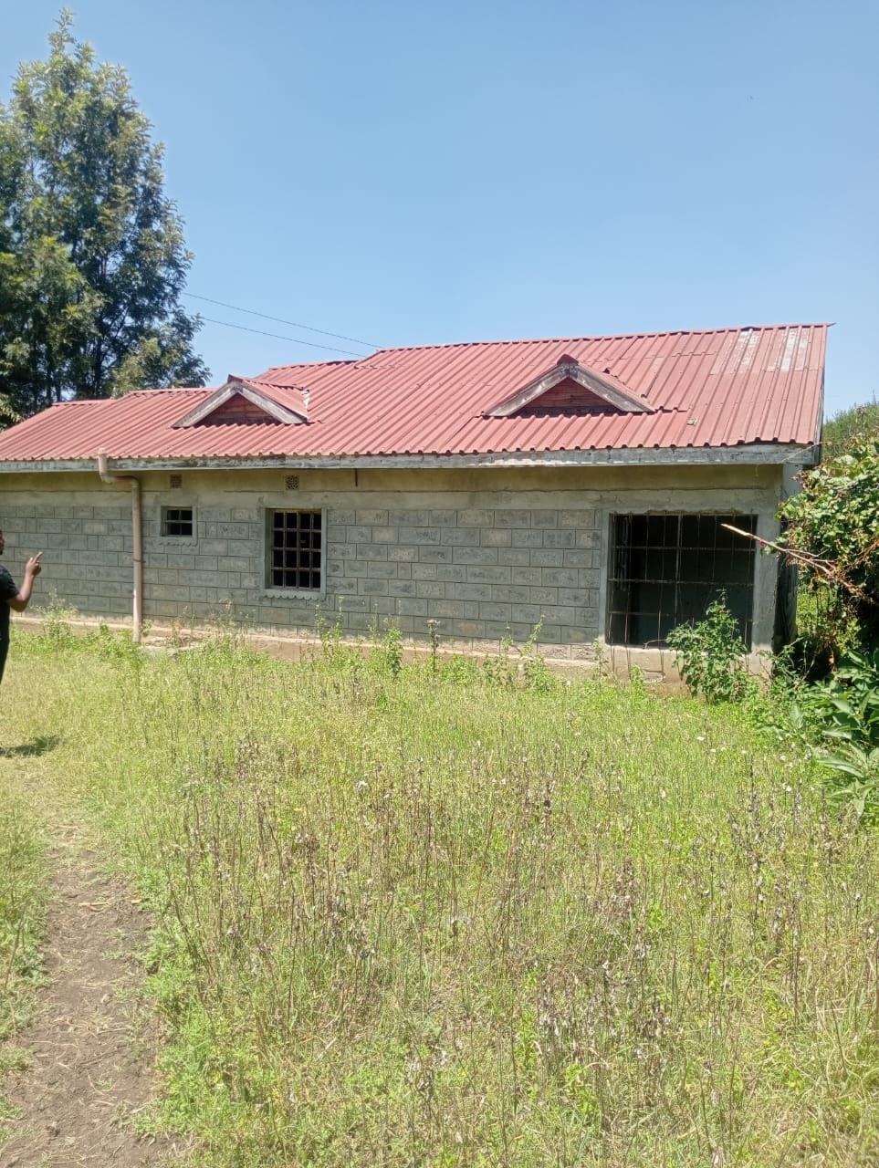 Property View 3
