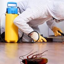 Cockroach Extermination
