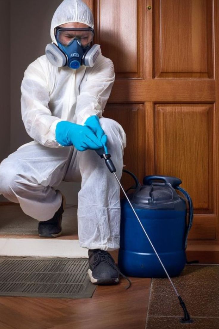 Pest Control and Fumigation Services