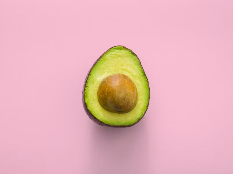 Hass avocado Seedling