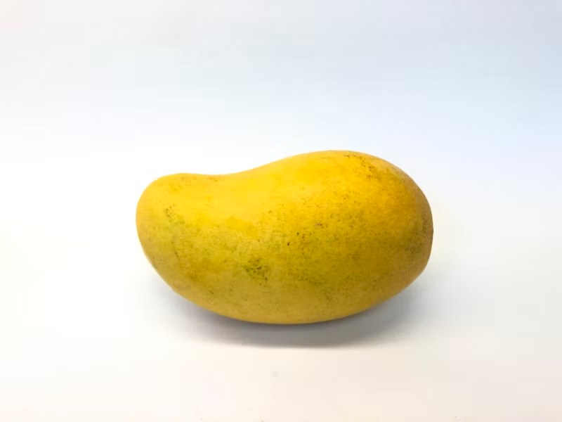 Mangoe Seedling