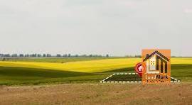 Plot For Sale in Kinamba, Naivasha