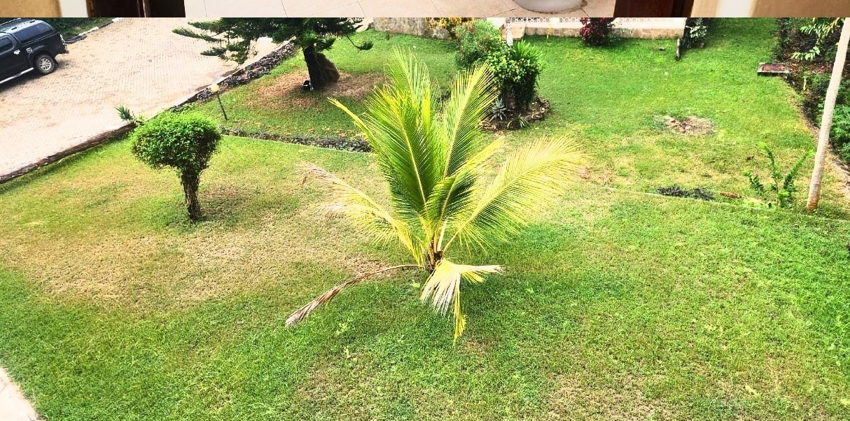 Extra Property View 5