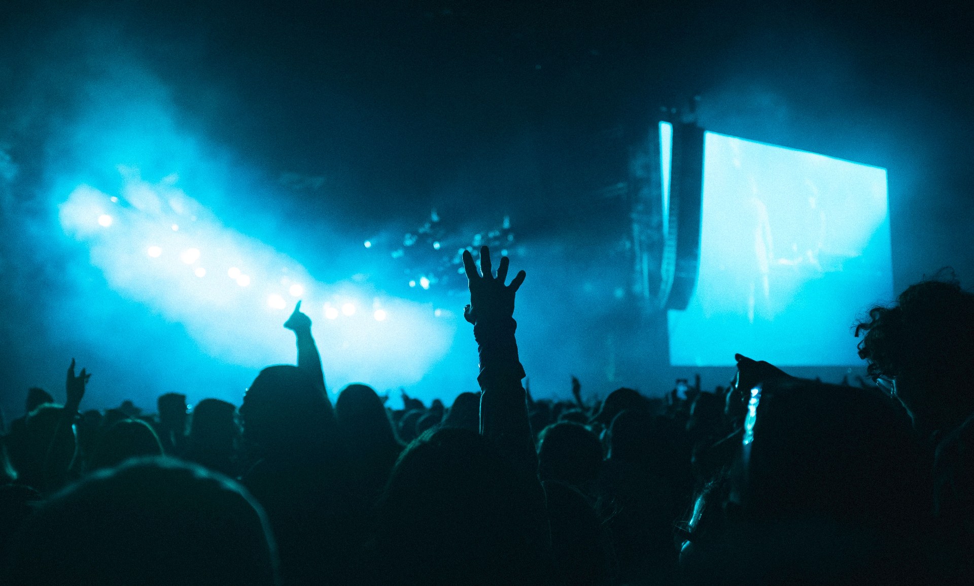 Concerts & Live Entertainment