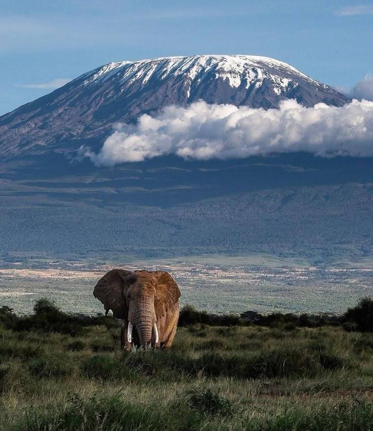 7 Days Mt Kilimanjaro Climbing