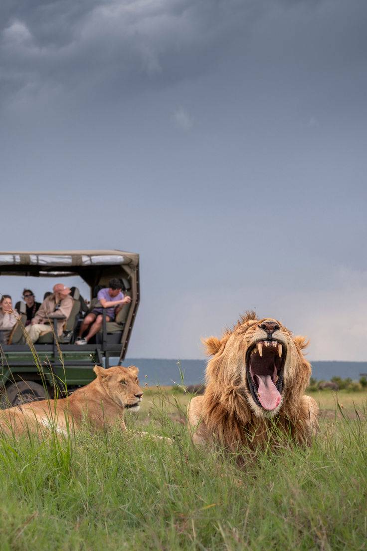 5 Days Adventurous Maasai Mara and Serengeti 